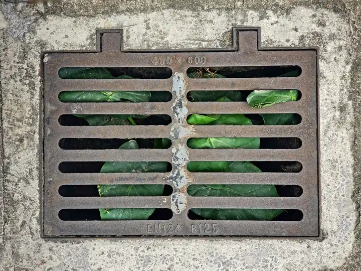 Local Trenchless Sewer Repair example